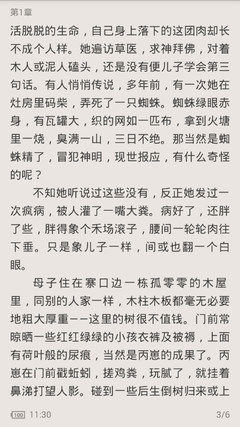 在菲律宾出生的小孩，可以办理什么手续？